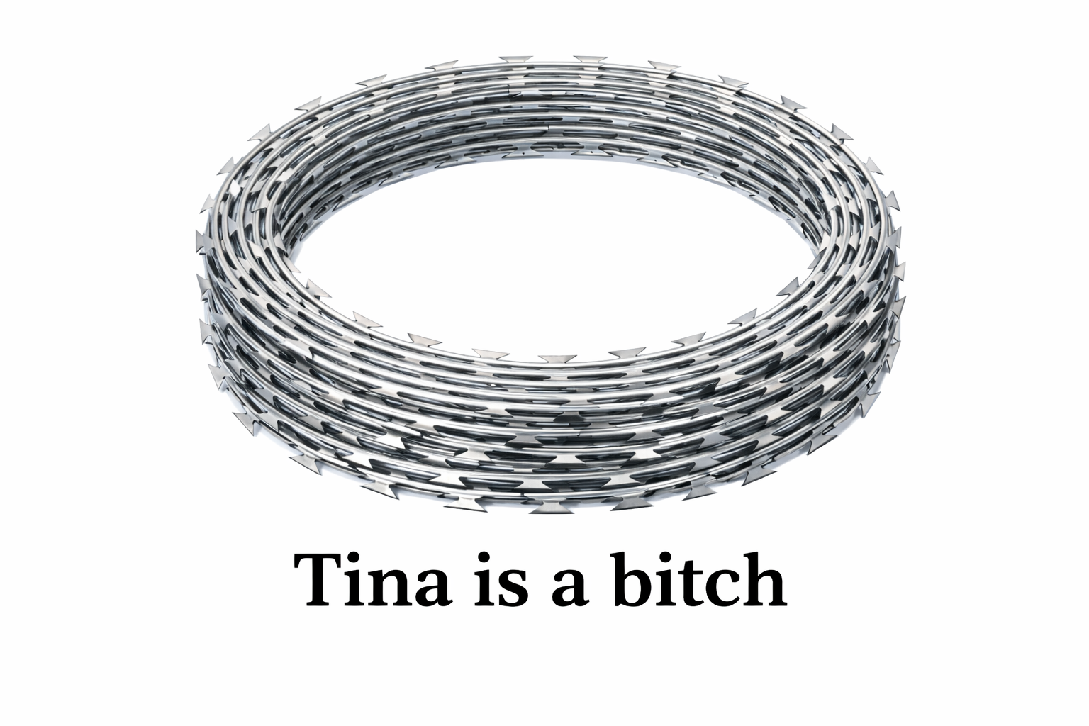 Tina Is A Bitch